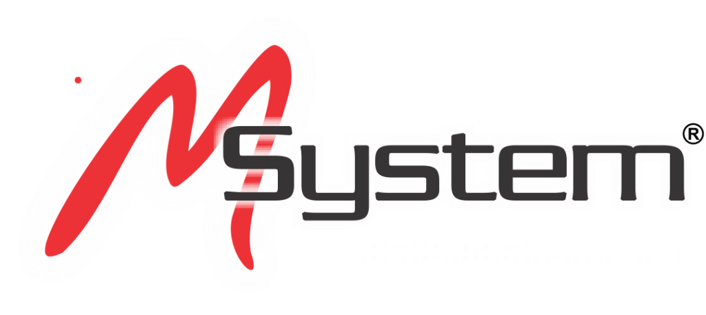 Logo MSystem
